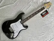Paul Reed Smith(PRS) SE SILVER SKY ROSEWOOD (Piano Black)