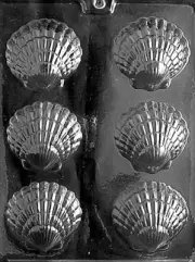 FANCY SHELL PIECES sea shells beach theamed party favors island
