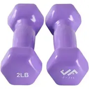 2Lb Pair Hand Dumbbell Hex Shaped Non-Slip Weights for Gym Exercise