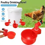 10X Automatic Chicken Water Cup, Farm Coop, Water Dispenser Poultry Drinker