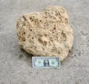 XXL Pumice Stone Volcanic Rock