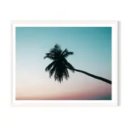 Horizontal Palm Framed Wall Art - White