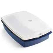 Martha Stewart, 4 pc Marinade + Serving Tray Set | Brine, Rub, Marinate Meat