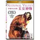 玉女神駒 伊麗莎白泰勒 DVD