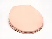 Bath Décor 2Q1R6-20 Builder Grade Slow Close Plastic Toilet Seat with Vari-Adjust Lok-Down R'N'C Hinge and Quik-Lok Mounting Hardware, Round, Venetian Pink