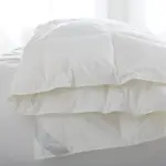 Scandia Home Bergen Down Free Comforter, Twin