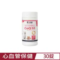 在飛比找PChome24h購物優惠-骨力勁-SILVER plus CoQ10(心血管保健配方)