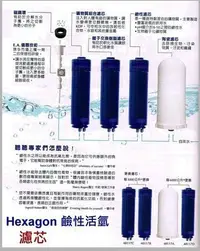 在飛比找Yahoo!奇摩拍賣優惠-Hexagon 鹼性活氫水過濾系统 科士威48116水機 1