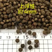 在飛比找蝦皮購物優惠-鱒魚飼料、溪魚飼料、冷水魚飼料（馬口魚、溪哥、可參考）