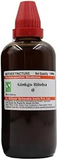 GINKGO BILOBA Q 100 ML SCHWABE