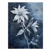 Flannel Canvas Print