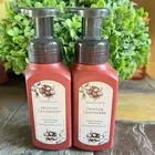 Bath & Body Works Foaming Hand Soap Lot Set of 2 Frosted Cranberry