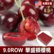 愛上生鮮 美國空運9.0ROW華盛頓櫻桃1/2/3/4盒(1000g/盒)酸甜好滋味大又飽滿 水果 現貨 廠商直送