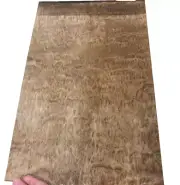 Eucalyptus Pommele wood veneer sheet 11" x 17" on paper backer 1/40" thickness