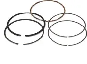 Briggs and Stratton 809972 Ring Set (STD)