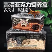 在飛比找樂天市場購物網優惠-爬蟲飼養盒爬寵箱高透光鬃獅守宮玩具蛇角蛙防逃逸龜缸