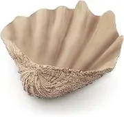 Afadorable Resin Seashell Decorative Bowl Large Clam Shell Storage Bowl for Coffee Table Centerpiece Home Kitchen Entryway Table Decor Beach Themed Wedding Party Decoration (Wood Color)