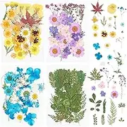 128Pcs Dried Pressed Flowers for Resin Molds, Bulk Natural Dried Leaves,Real Natural Bulk Dry Floral Leaves for DIY Art Crafts, Resin Candle Jewelry Making Nails Decors Gifts Phone Case