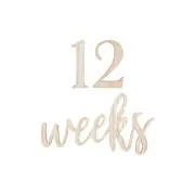 NEW Ginger Ray Baby In Bloom Milestone Mix & Match Sign By Spotlight
