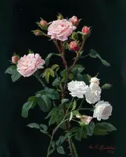 Bouquet Flowers Roses Accent Tile Mural Kitchen Bathroom Wall Backsplash Ceramic