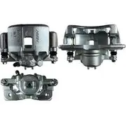 Protex Caliper Assembly - 090D0131