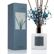 Cocorrína Premium Reed Diffuser Set with Preserved Baby's Breath & Cotton Sti...