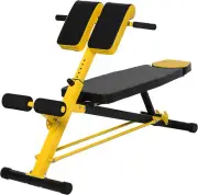 Soozier Adjustable Hyper Extension Dumbbell Weight Bench Station for Home Gym