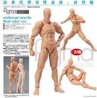 在飛比找露天拍賣優惠-A1現貨 figma archetype next 男性素體