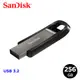 SanDisk Extreme Go 256GB SDCZ810 高速隨身碟 USB3.2