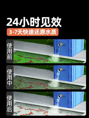 吸污機 水池過濾器 淨水器 水循環器 魚池水循環系統裝置過濾器 魚塘養魚設備室外大型水池周轉箱過濾箱 全館免運