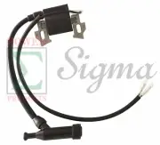 Ignition Coil For Generac Centurion 163CC 196CC 208CC 212CC Gas Generator