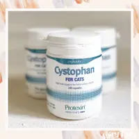 在飛比找蝦皮購物優惠-Protexin Cystophan for Cats 安泌