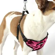 No Pull Dog Harness Step in Adjustable Vest Harness