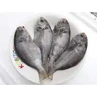 在飛比找蝦皮購物優惠-桃園海鮮之家【冷凍肉鯽魚（肉魚）】