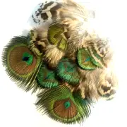 10pcs Natural Rare Variegated Mix 4-5cm Peacock Plumage Feathers DIY Art Craft