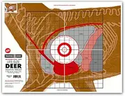 Thompson Target Life Size Deer Vital Organ Sight in Double Lung Shot - 19x25 Inch Paper Large Game Hunting & Shooting Targets