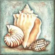 Diamond painting kit - Sea shells by Diamondmosaic