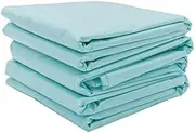 30 Protector (Pouch) for Electrolysis FootbatBio energiser, Ion Cleanser, Hydrosana and Other Foot Electrolysis Baths