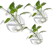 Ecosides Set of 3 Bubble Bowl Glass Wall Vase, Wall Hanging Terrarium, Wall Mounted Planter Vase, Indoor Wall Planters for Indoor Wall Gardens