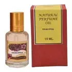 Natural perfume oil long lasting fragrance Eucalyptus , Roll on 10ml (Maroon)