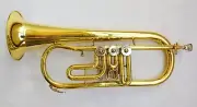 Funion Bb Flat Flugelhorn Set Bb Key Rotary Valves Water Key Gold Lacquer New
