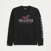 在飛比找PChome24h購物優惠-Hollister 海鷗 HCO 熱銷刺繡大海鷗文字圖案長袖