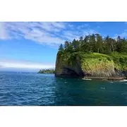 Save 5.00%! Sitka Sea Birds & Marine Life Private Charter Scenic Eco-Tour