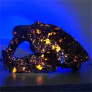 640g Natural Yooperlite saber-toothed tiger Skull Reiki Quartz Skull Dec XK4673