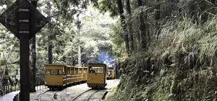 從台北出發 |宜蘭太平山一日遊|電車、三晴古道、鳩之澤溫泉蛋、加巴蘭威士忌釀酒廠之旅