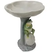 Polyresin Brooding Frog on Stone Outdoor Garden Bird Bath - 22 in by Sunnydaze