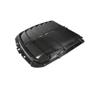 APR Carbon Fiber Hood Vent for 20+ Ford Mustang Shelby GT-500