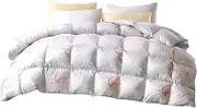 Goose Down Comforter Queen Size 100% Cotton, Printing Quilted Down Comforter, 900 Fill Power Fluffy Medium Warmth for All Season Duvet Insert with Corner Tabs,200x230cm