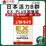 日本 活力B群 EX PLUS加強錠<120錠 >日本製造 日本原裝 維生素B群 小顆好吞 方便快速 強效B群