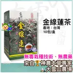 🏔️大雪山農場【金線連茶】10包｜台灣國寶｜七葉膽｜無毒栽種技術｜明日葉｜刺五加｜茶包、茶袋｜純素｜金線蓮